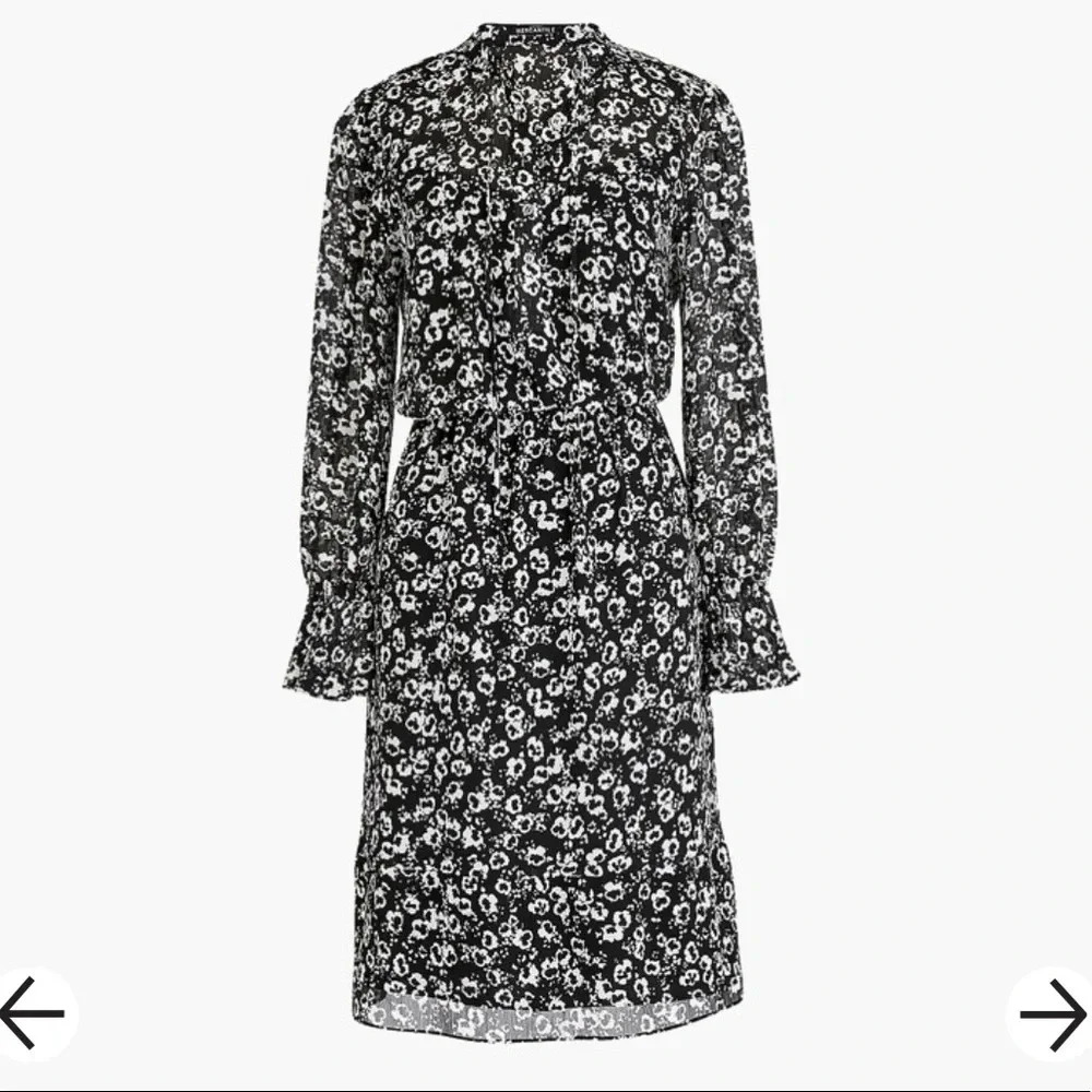 J. Crew Floral Chiffon Ruffle Sleeve Spring Prairie Tie Dress Small - Picture 2 of 8